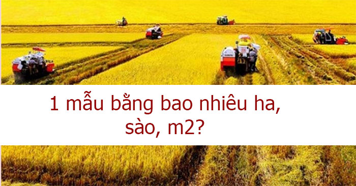 1ha bằng bao nhiêu m2 Giải đáp thắc mắc về diện tích 1 1ha bằng bao nhiêu m2 Giải đáp thắc mắc về diện tích