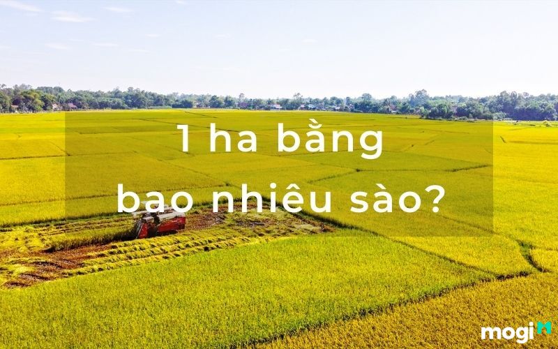 1ha bằng bao nhiêu m2 Giải đáp thắc mắc về diện tích 4 1ha bằng bao nhiêu m2 Giải đáp thắc mắc về diện tích